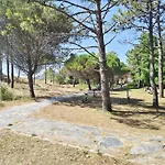 Apartament Pes Na Area 22