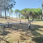 Pes Na Area 22 * Fisterra