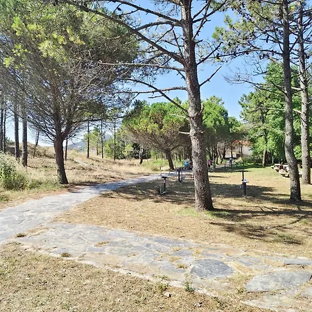 Apartment Pes Na Area 22